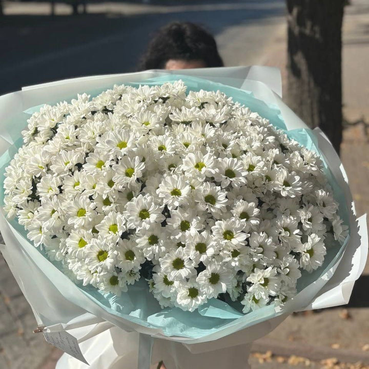 Хризантеми 