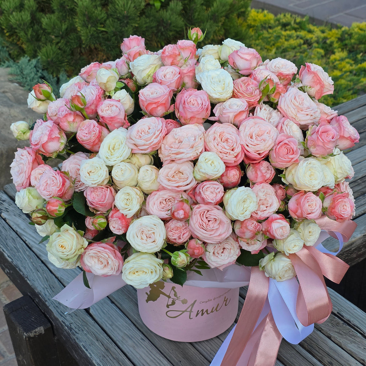 Коробка з кущових троянд (рожево-біла) «Ніжний акорд