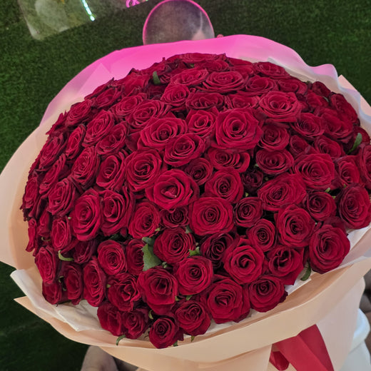 101 червона троянда «Багряна симфонія»