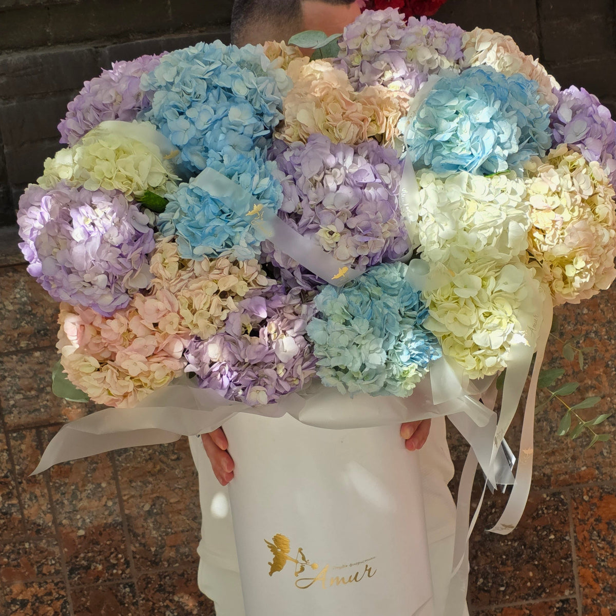 Коробка гортензій «Хмарна ніжність»