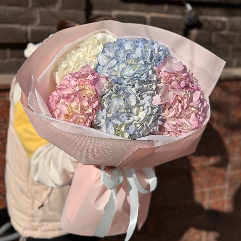 Букет з гортензій «Рожево-блакитна симфонія»