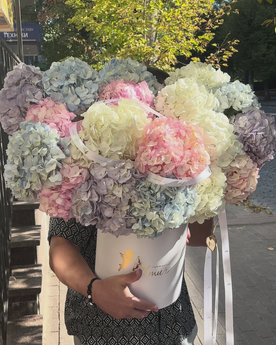 Коробка гортензій «Молочно-Блакитна Мрія»